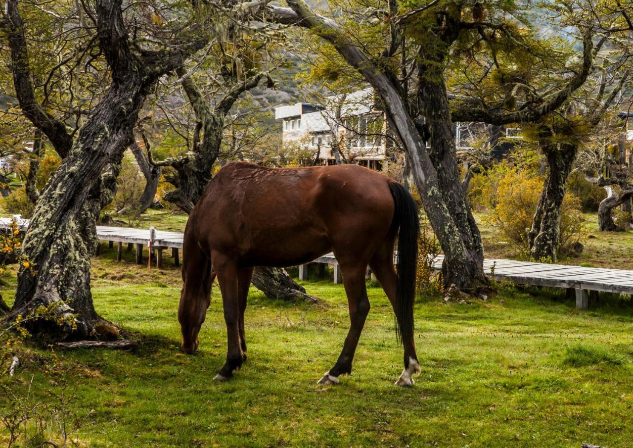 Torres del Paine National Park Pampa Hostel المظهر الخارجي الصورة