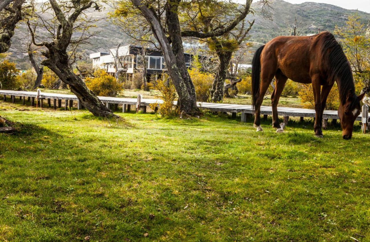 Torres del Paine National Park Pampa Hostel المظهر الخارجي الصورة